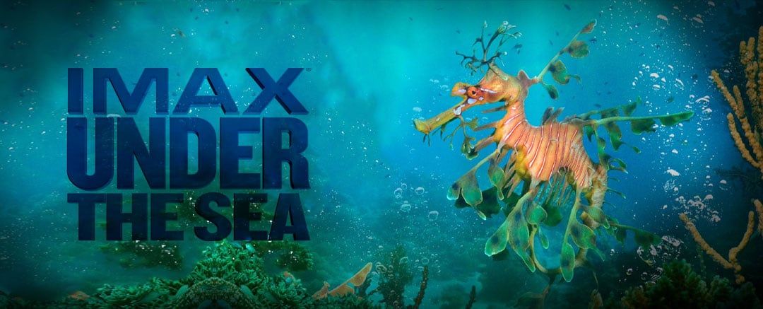 Under-the-Sea-Movies Under-the-Sea-Movies